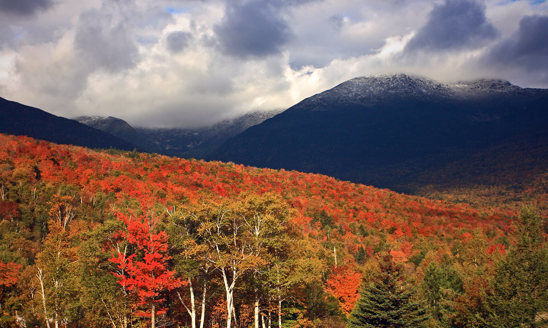 Autumn Foilage in White Mountains